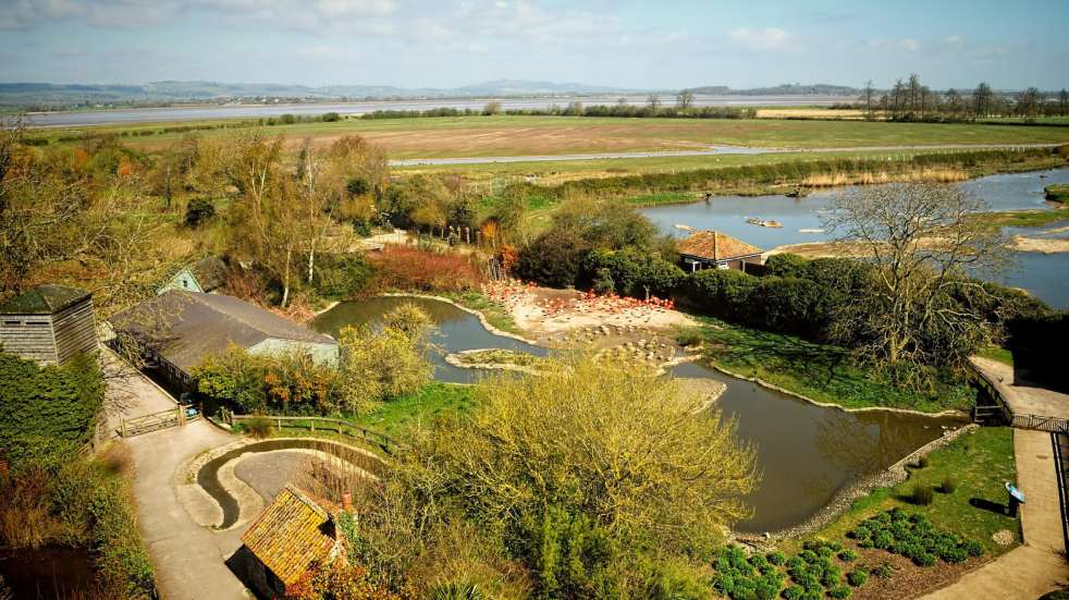 Wetland nature reserve